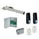 Faac 413 LS 24Vdc linear screw kit with limit switches for swing gates up to 1.8m