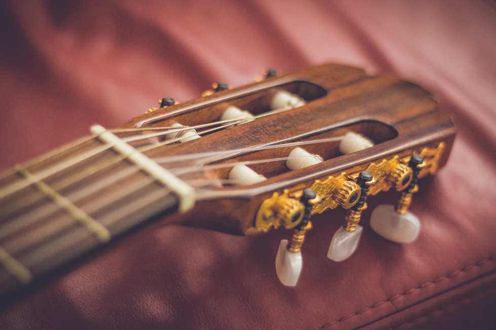 close up of guitar mechanisim